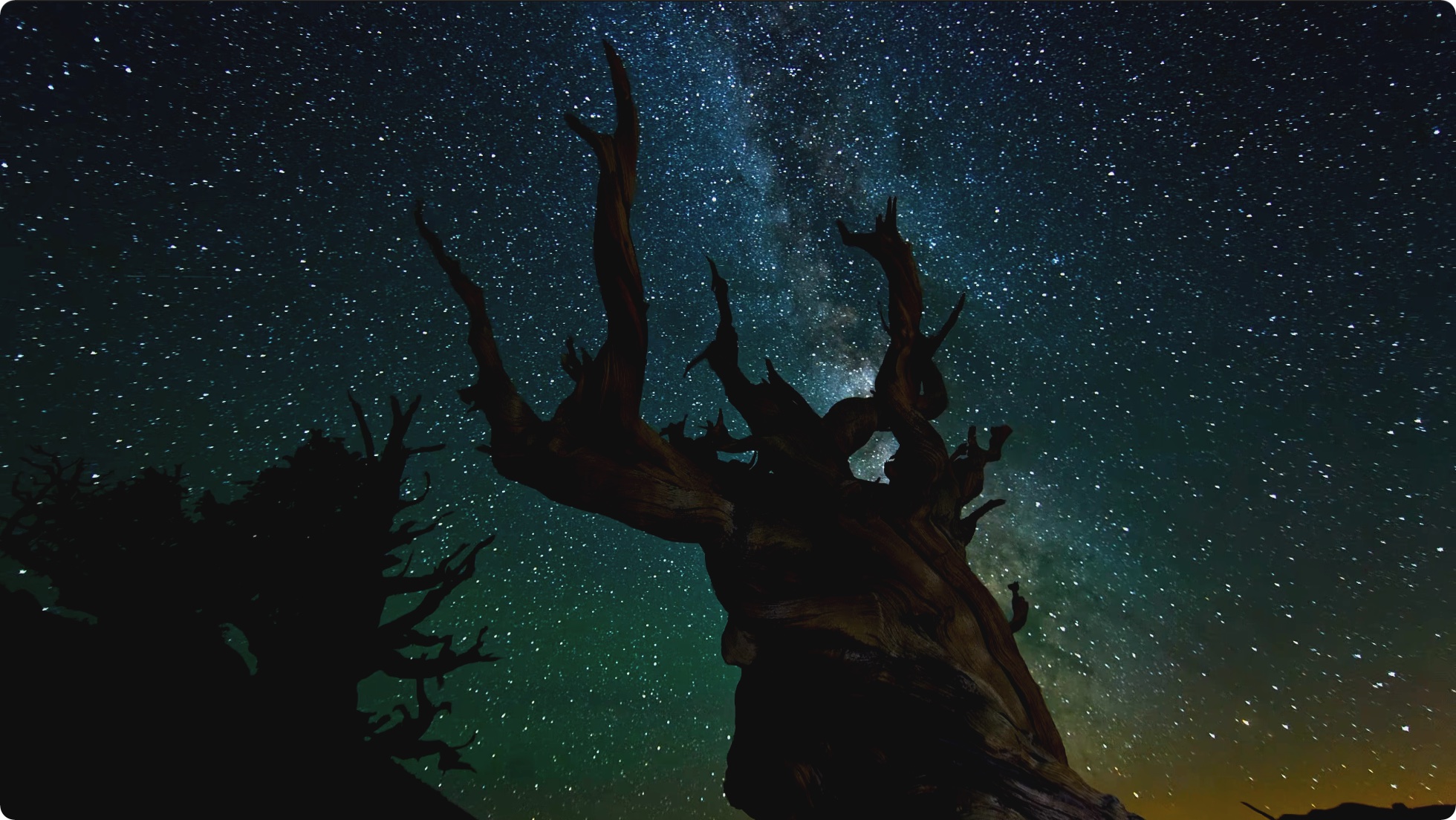 时间的风景 画面美得让人窒息 4K视频 第1张