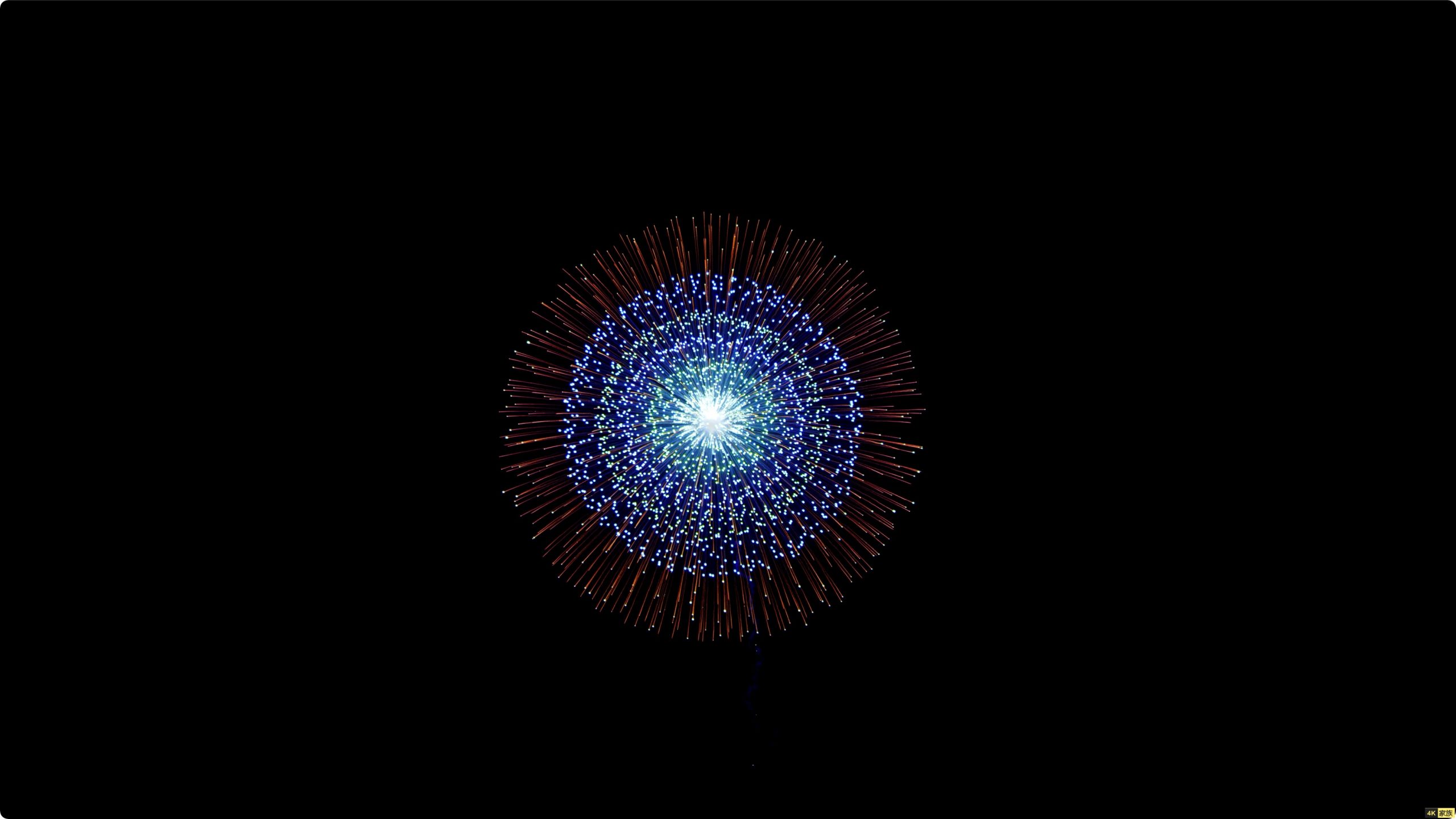 烟花绽放 让这场烟花治愈你的心 8K 第3张