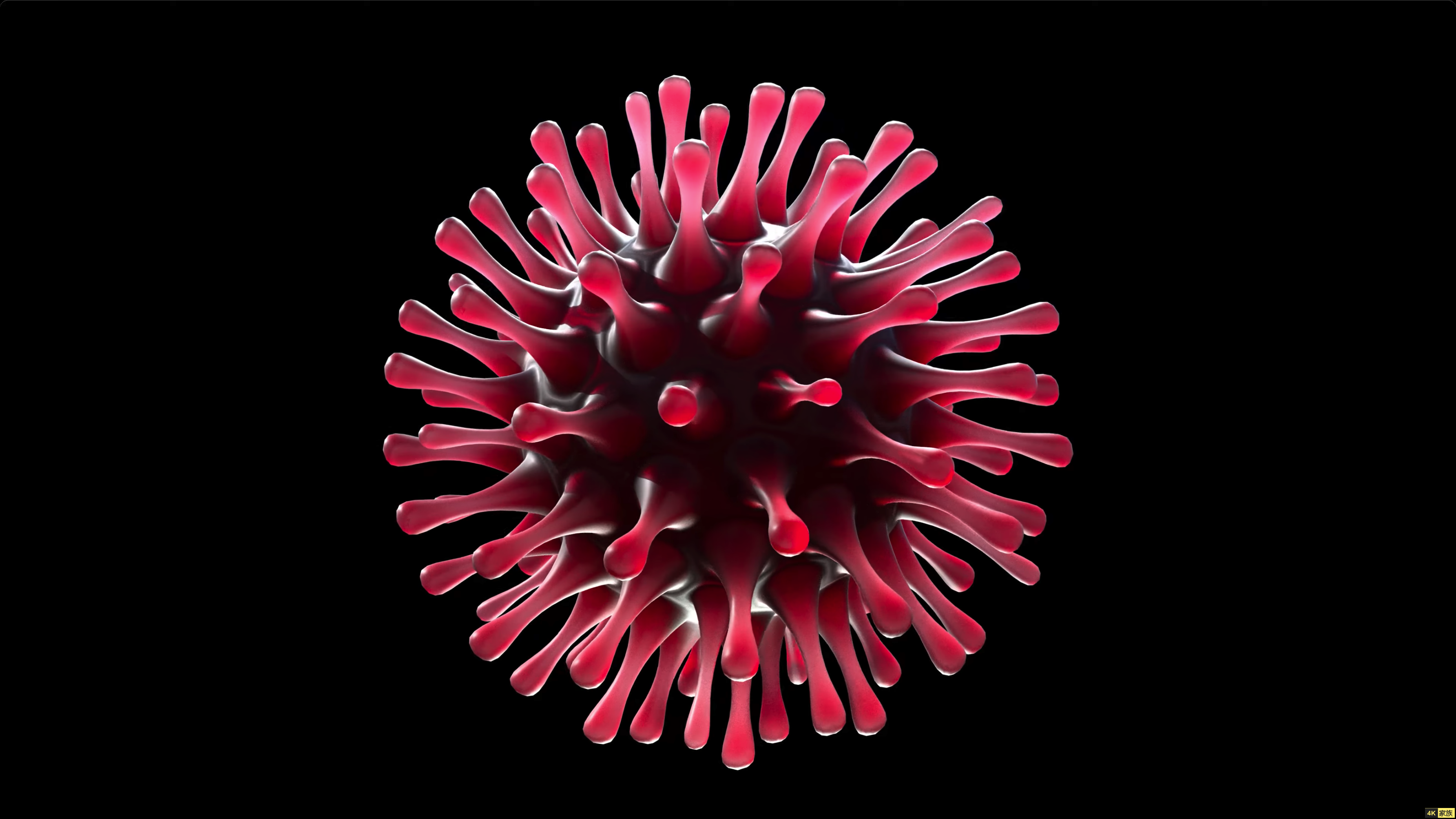 4K新型冠状病毒Coronavirus高清视频素材 第1张