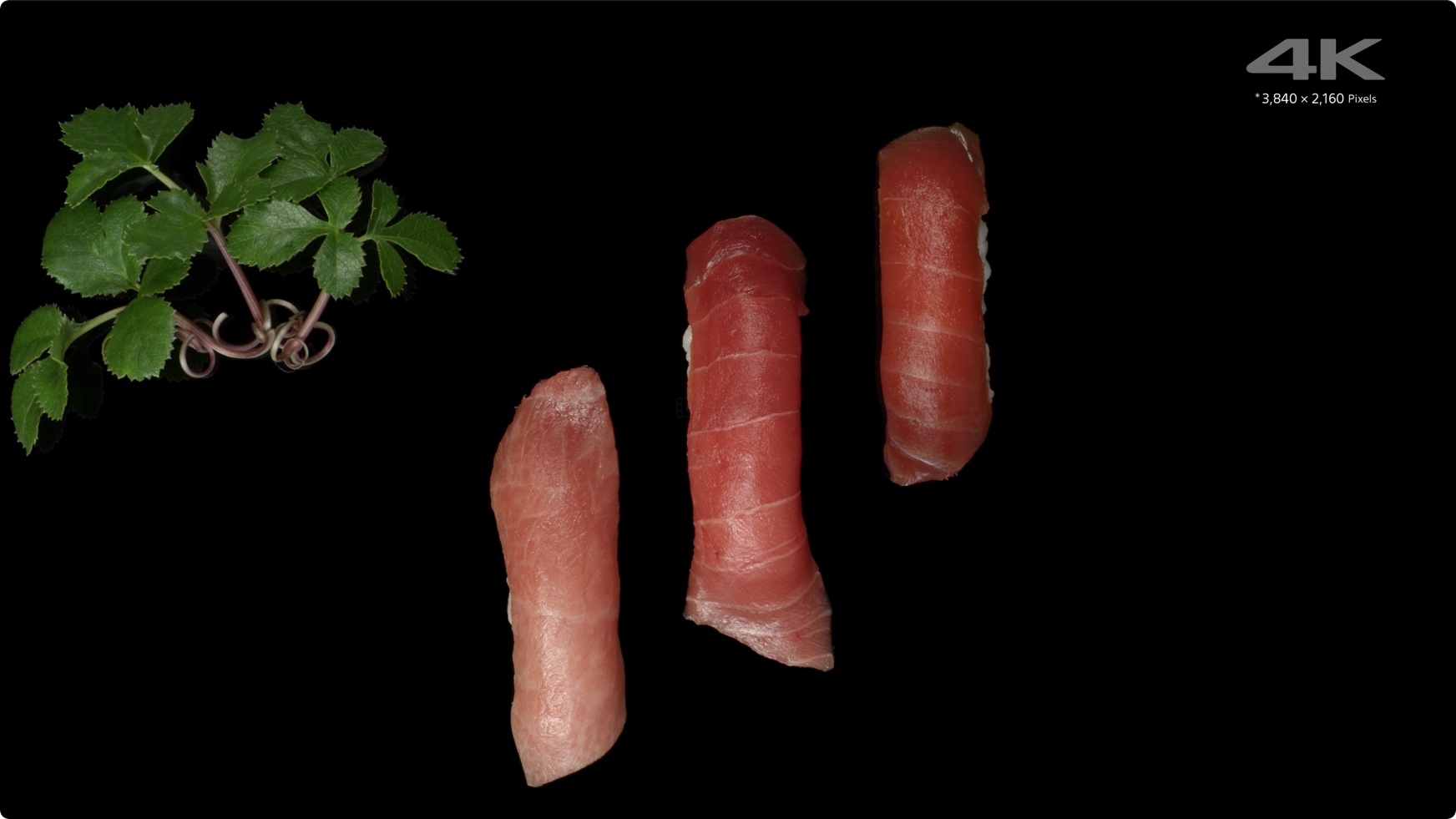 4K鱼类美食素材  自媒体短视频 第4张