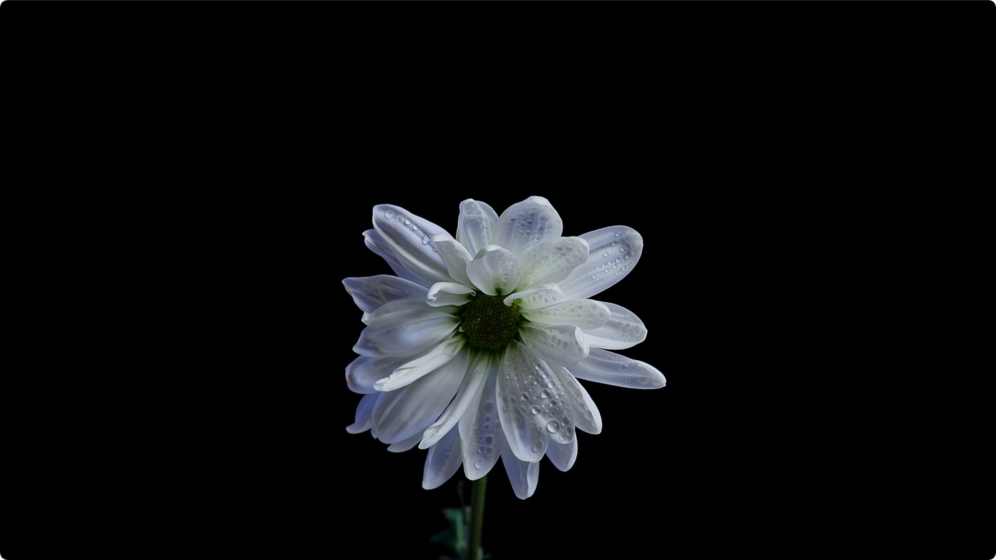8K HDR 60FPS测试片 杜比视觉 演示视频 每祯都是极致画面 首发下载 第1张