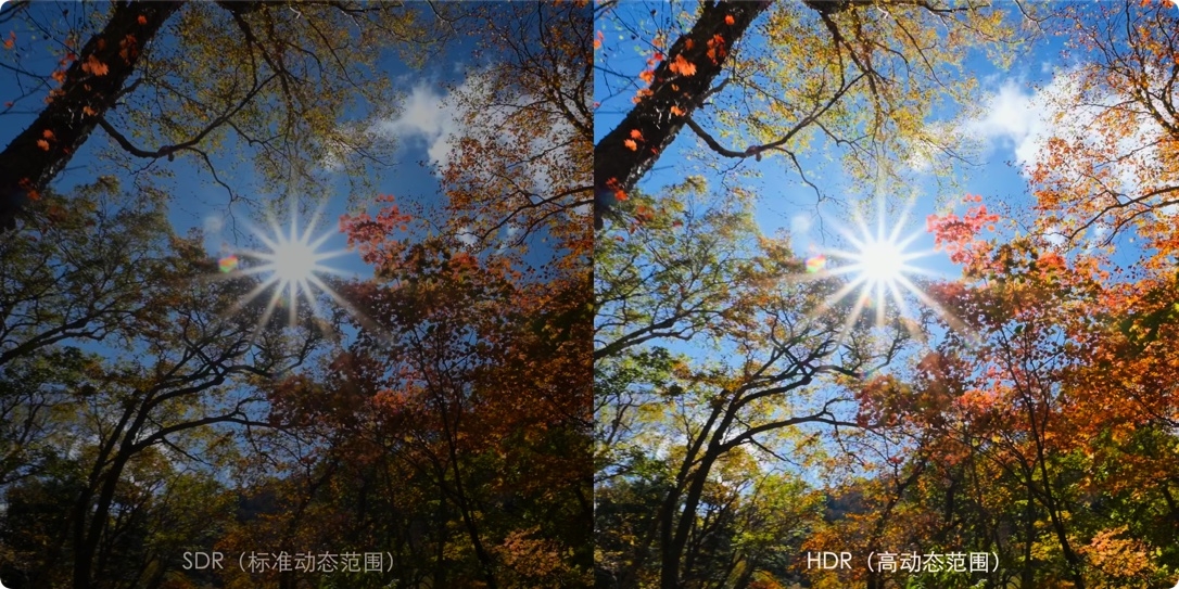 索尼 三星  LG    4K HDR 测试片下载 第2张