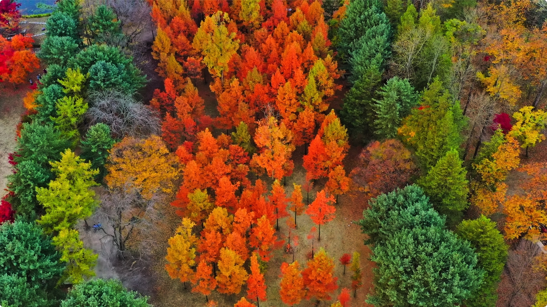 出色的4K HDR 60FPS杜比视界 第5张