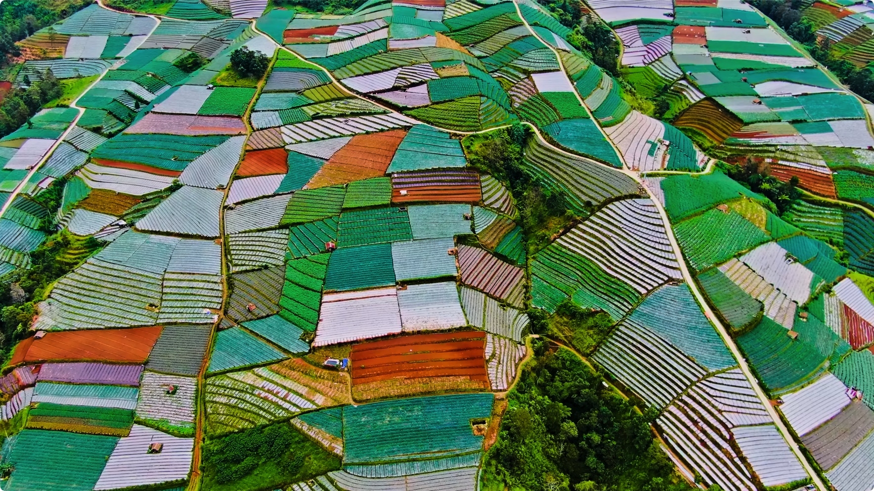 出色的4K HDR 60FPS杜比视界 第3张