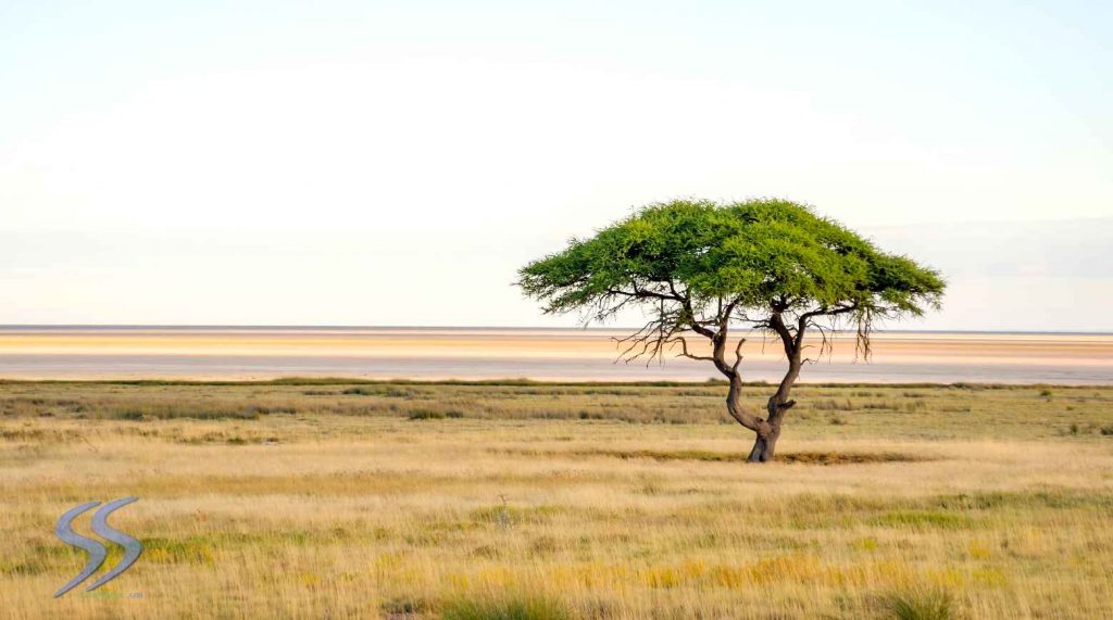 [4K高清视频]AFRICA – Namibia 4K素材 第2张